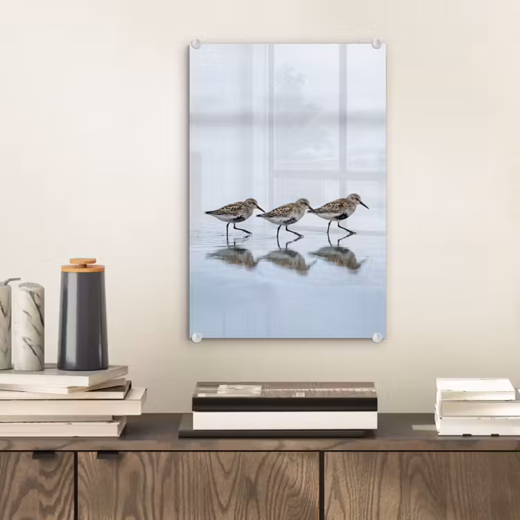Glas schilderij - Vogels - Water - Grijs — 2