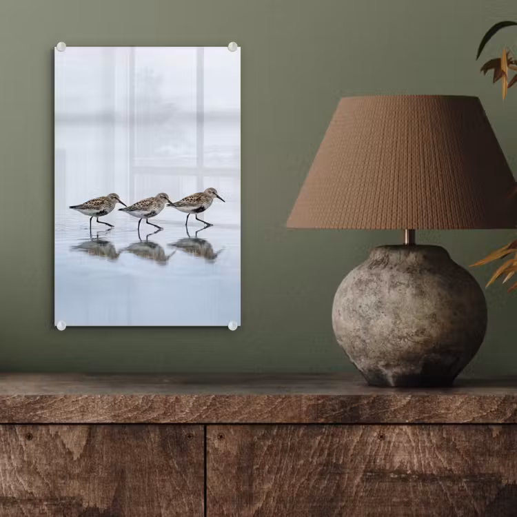 Glas schilderij - Vogels - Water - Grijs — 4