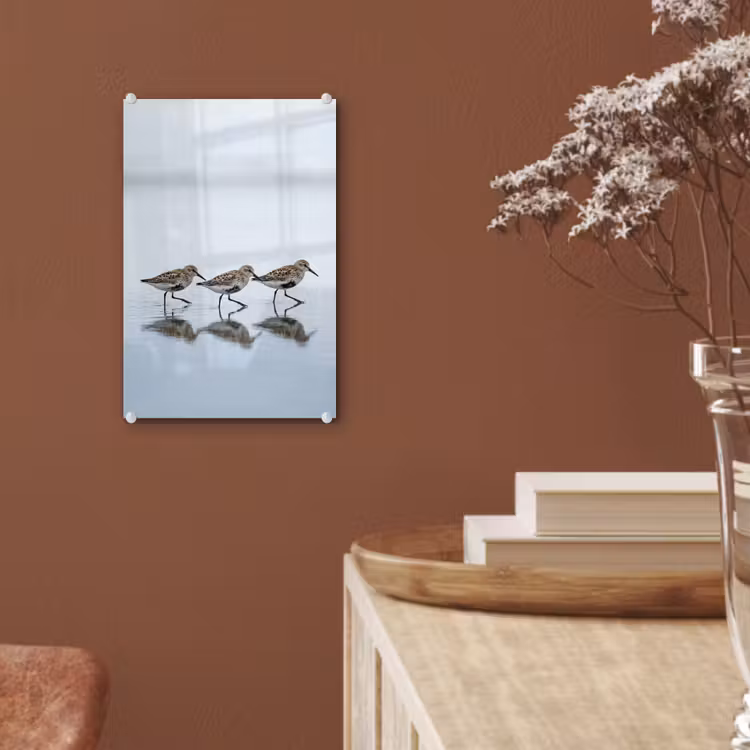 Glas schilderij - Vogels - Water - Grijs — 6