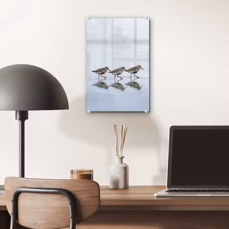 Glas schilderij - Vogels - Water - Grijs — 7