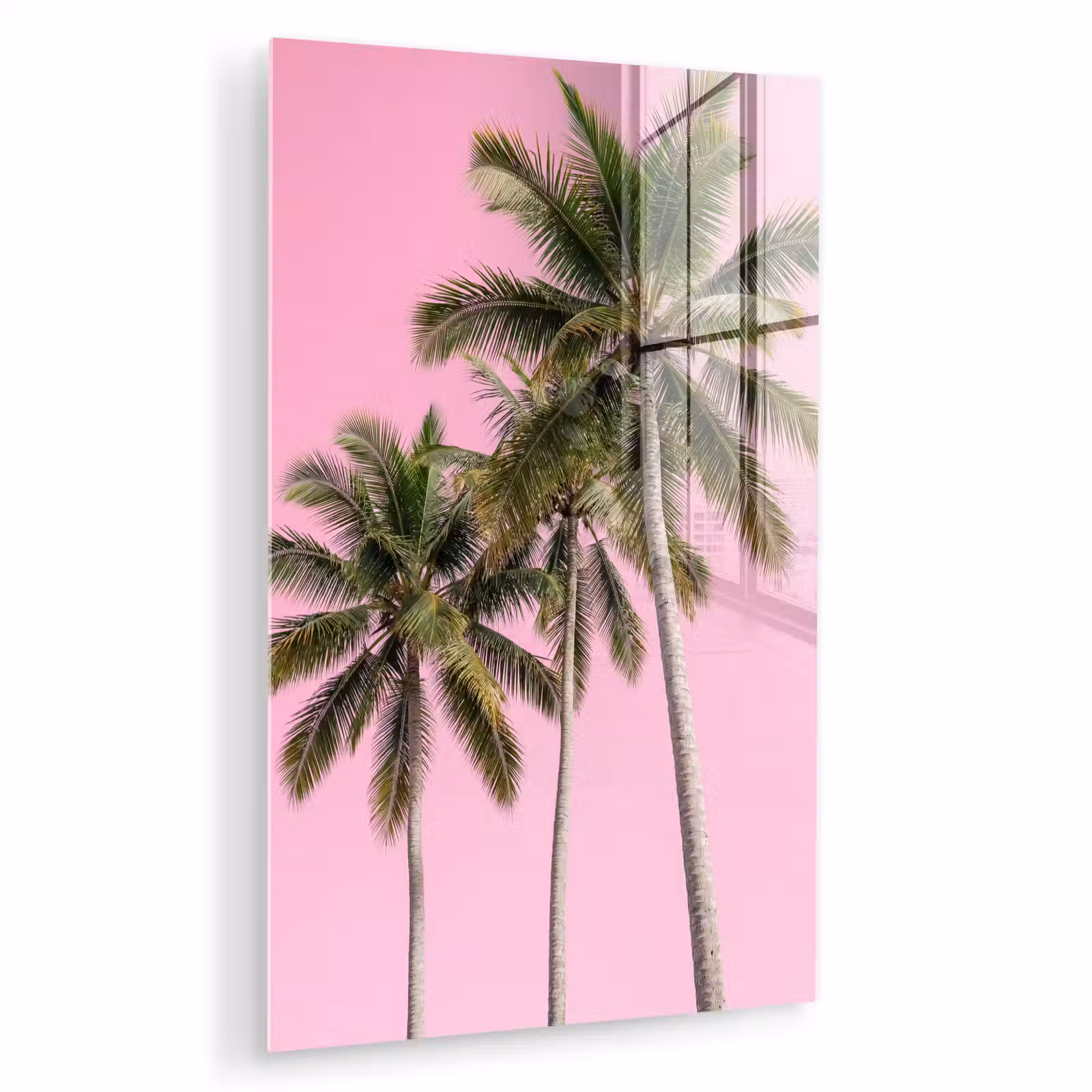 Glas schilderij - Palmboom - Tropisch - Pink — 1