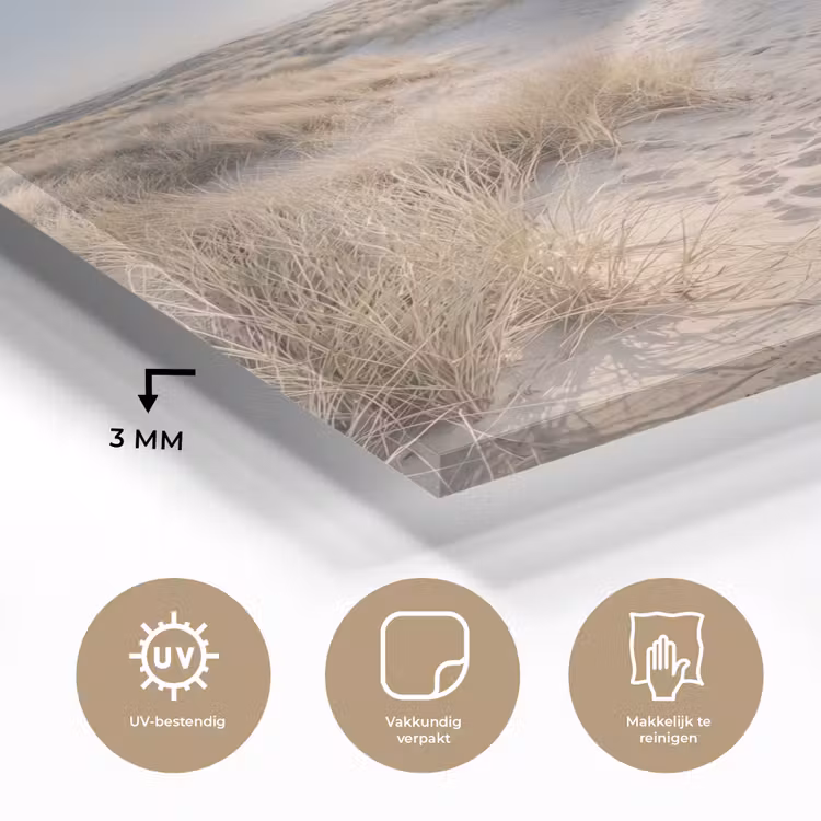 Glas schilderij - Duinen - Strand - Beige — 3