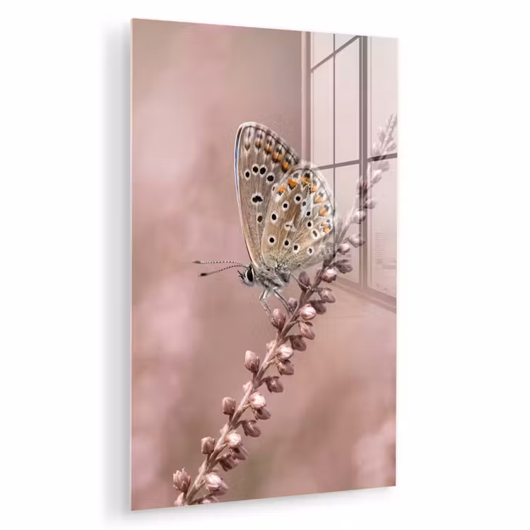 Glas schilderij - Lavendel - Vlinder - Paars — 1