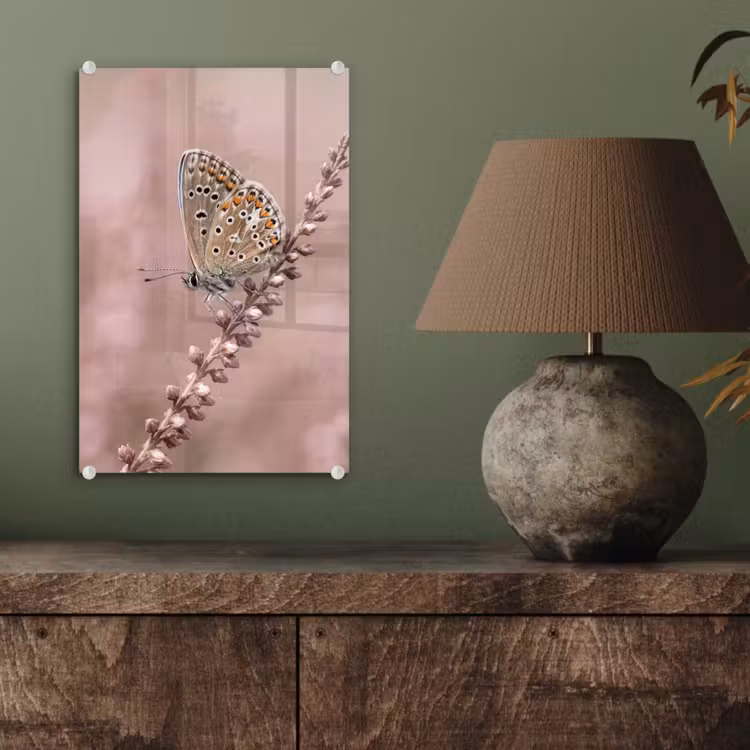Glas schilderij - Lavendel - Vlinder - Paars — 4
