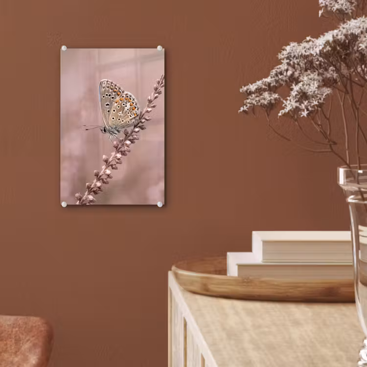 Glas schilderij - Lavendel - Vlinder - Paars — 6