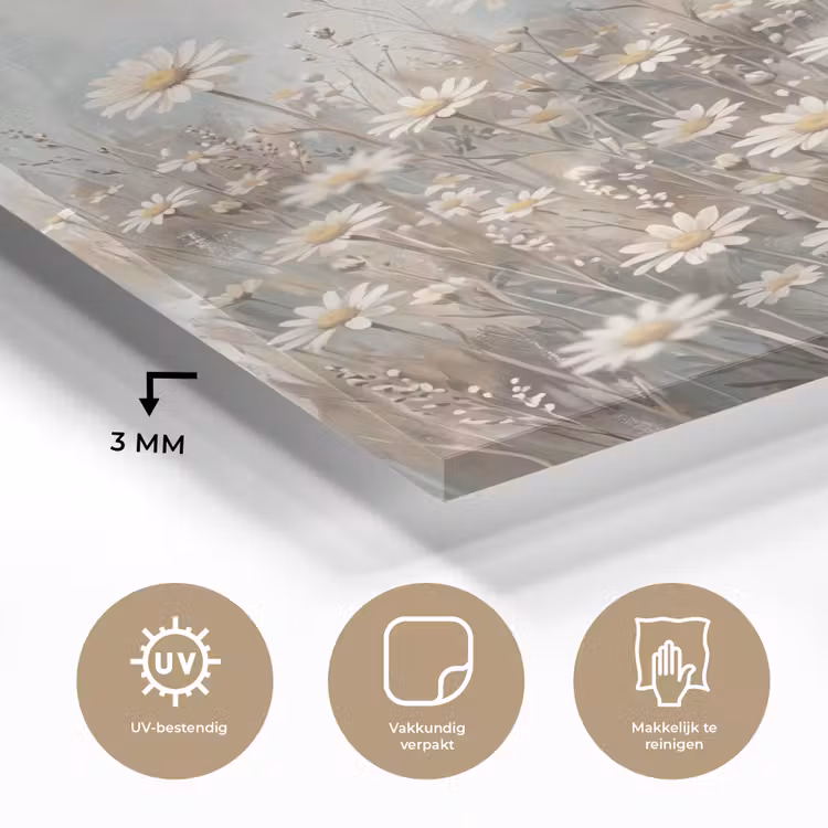Glas schilderij - Madelief - Illustratie - Wit — 3