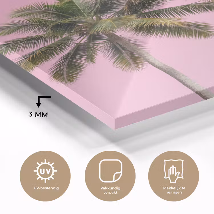 Glas schilderij - Palmboom - Tropisch - Pink — 3