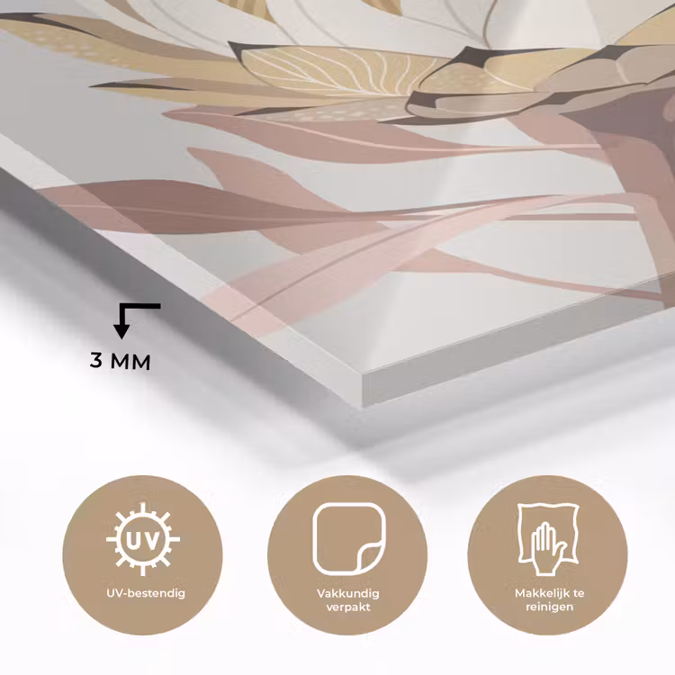 Glas schilderij - Protea - Bloem - Botanisch - Beige — 3