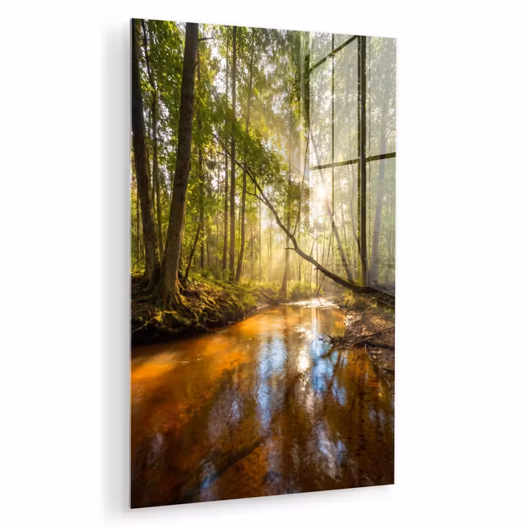 Glas schilderij - Bos - Beek - Zonlicht - Natuur - Groen — 1