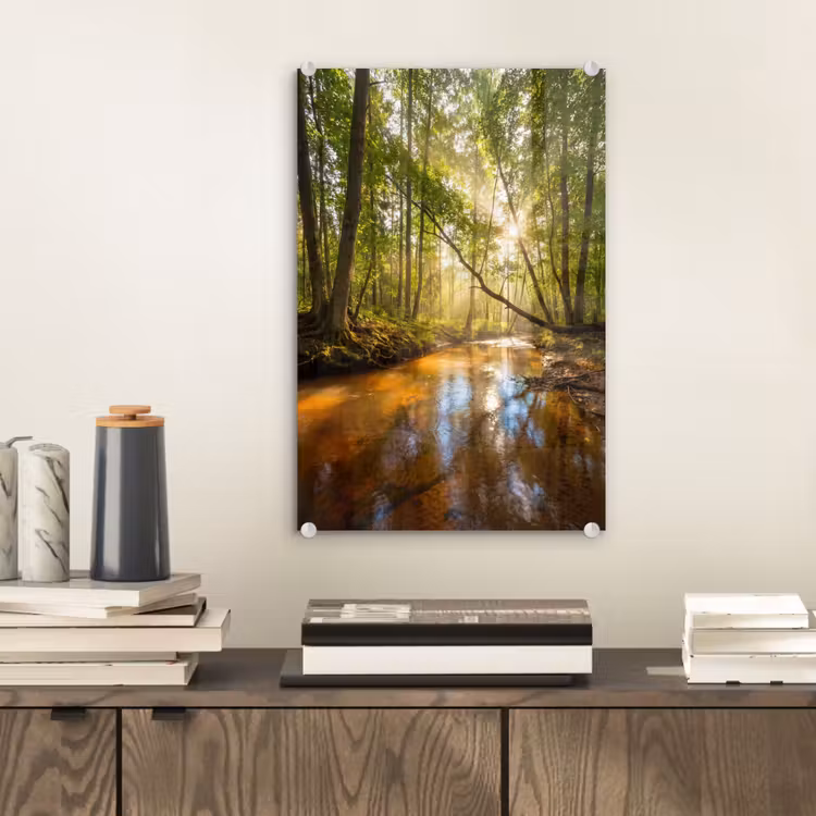 Glas schilderij - Bos - Beek - Zonlicht - Natuur - Groen — 2