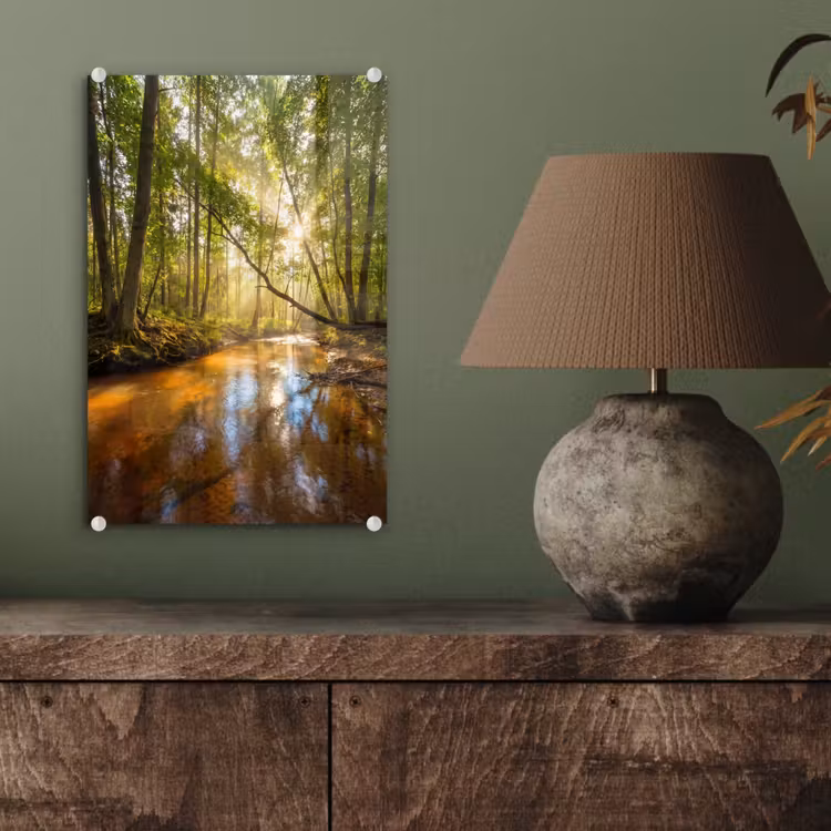 Glas schilderij - Bos - Beek - Zonlicht - Natuur - Groen — 4