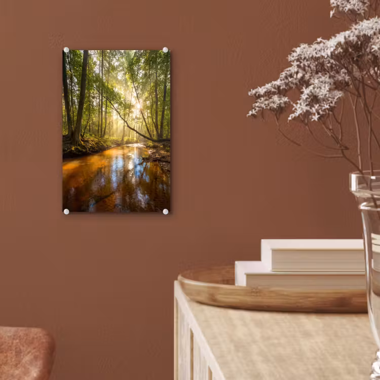 Glas schilderij - Bos - Beek - Zonlicht - Natuur - Groen — 6