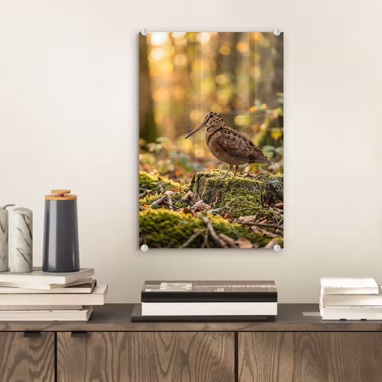 Glas schilderij - Houtsnip - Bos - Bladeren - Herfst - Gecamoufleerd — 2