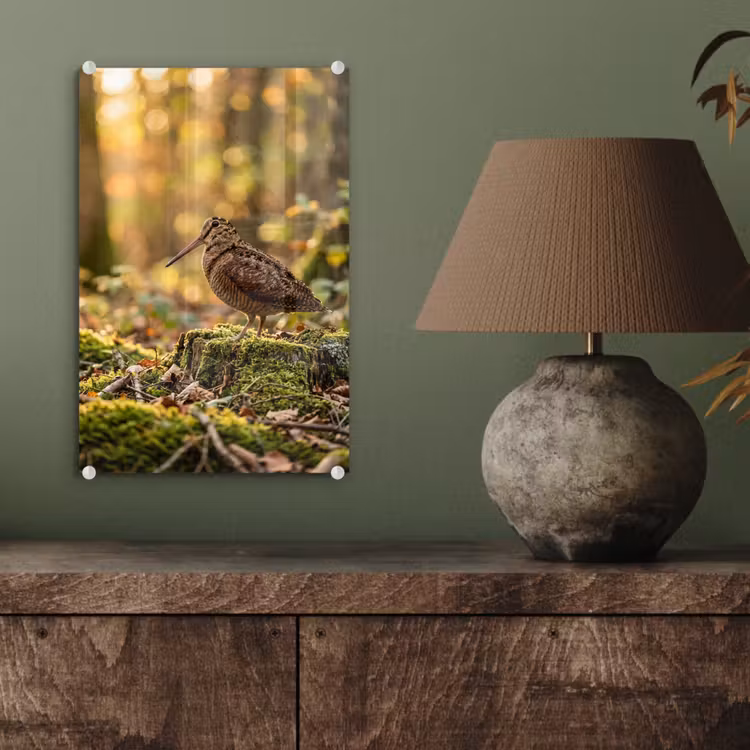 Glas schilderij - Houtsnip - Bos - Bladeren - Herfst - Gecamoufleerd — 4