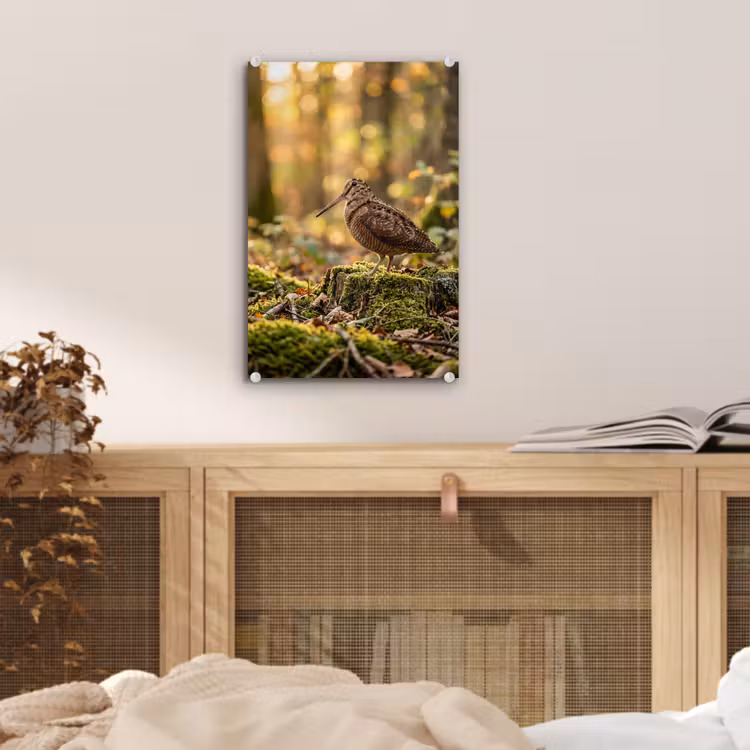Glas schilderij - Houtsnip - Bos - Bladeren - Herfst - Gecamoufleerd — 5