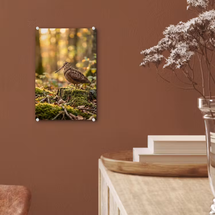 Glas schilderij - Houtsnip - Bos - Bladeren - Herfst - Gecamoufleerd — 6