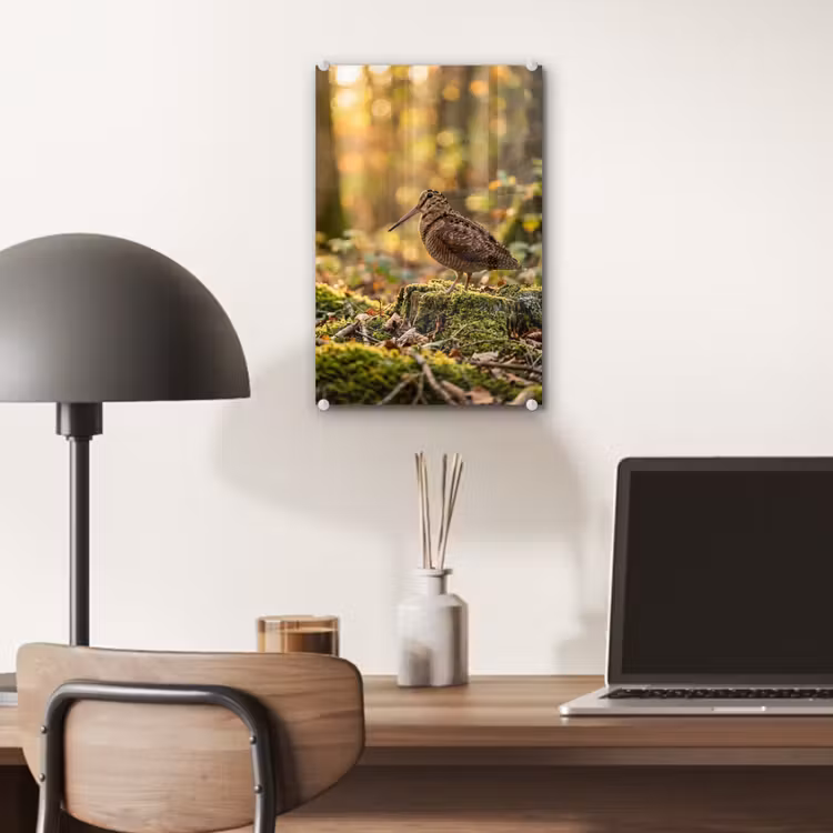 Glas schilderij - Houtsnip - Bos - Bladeren - Herfst - Gecamoufleerd — 7