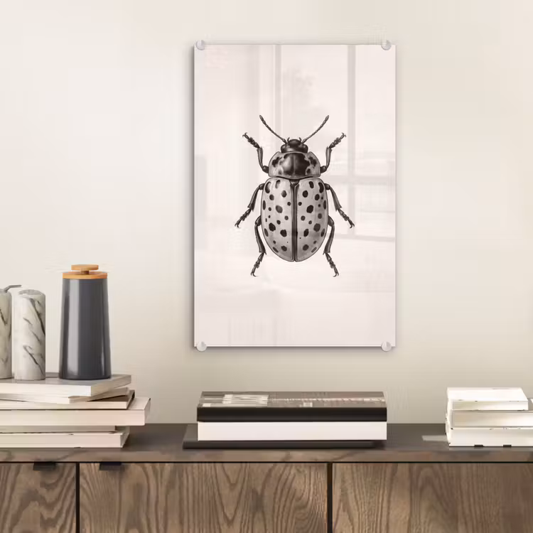 Glas schilderij - Kever - Insect - Vintage — 2