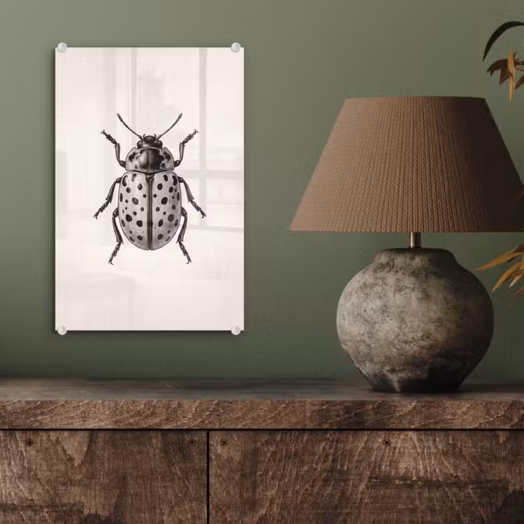 Glas schilderij - Kever - Insect - Vintage — 4