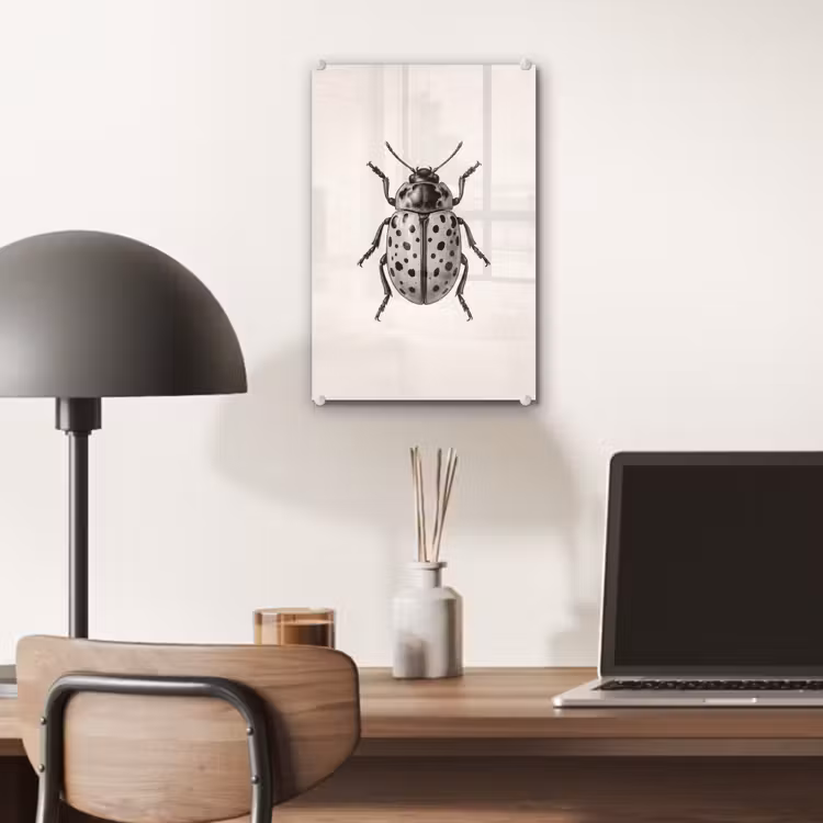 Glas schilderij - Kever - Insect - Vintage — 7