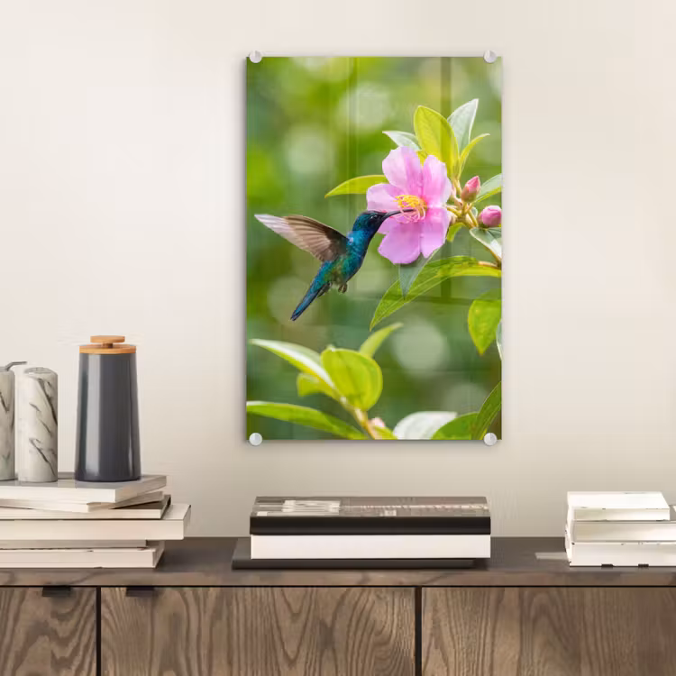 Glas schilderij - Kolibrie - Bloem - Natuur - Groen — 2