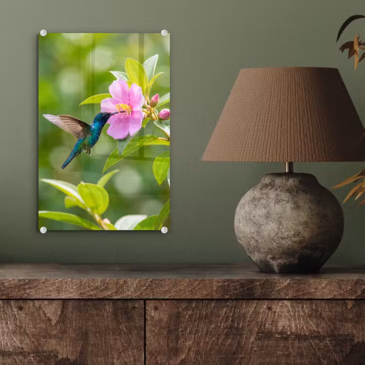 Glas schilderij - Kolibrie - Bloem - Natuur - Groen — 4
