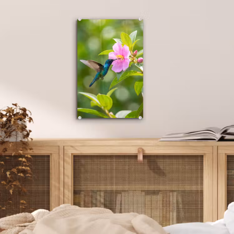 Glas schilderij - Kolibrie - Bloem - Natuur - Groen — 5