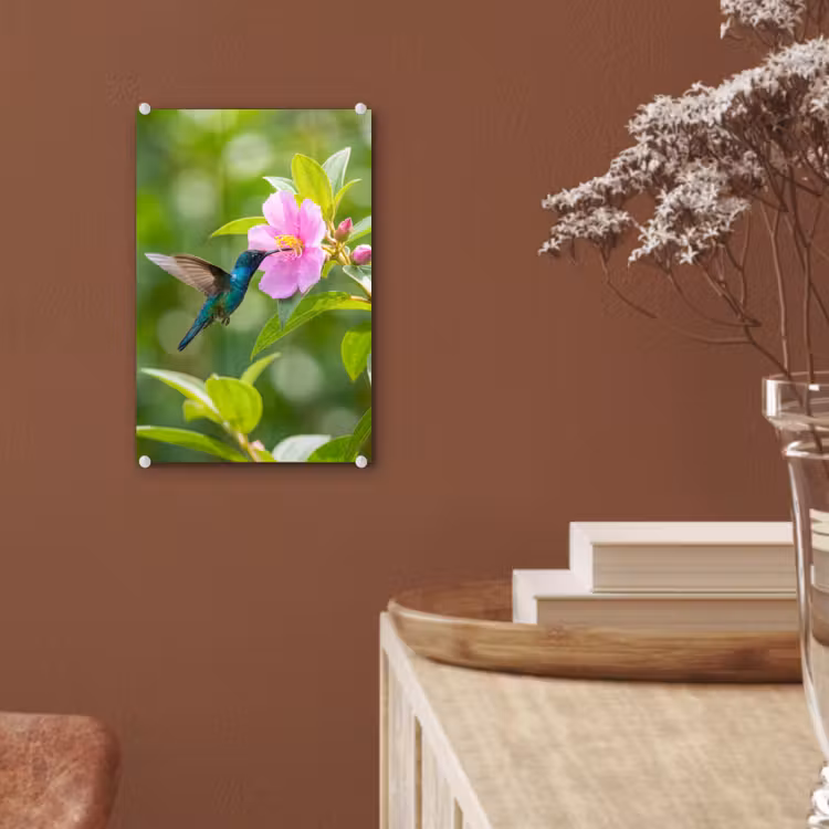 Glas schilderij - Kolibrie - Bloem - Natuur - Groen — 6