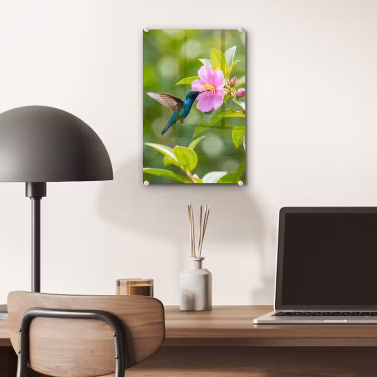 Glas schilderij - Kolibrie - Bloem - Natuur - Groen — 7