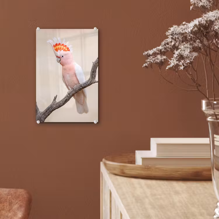 Glas schilderij - Papagaai - Tak - Roze — 6
