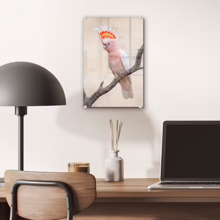 Glas schilderij - Papagaai - Tak - Roze — 7