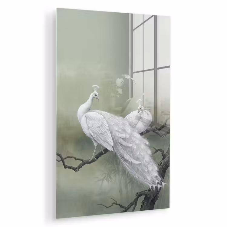 Glas schilderij - Pauwen - Wit - Natuur - Groen — 1