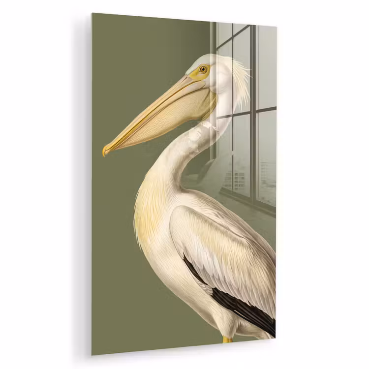 Glas schilderij - Pelikaan - Wit - Vogel - Klassiek - Natuur — 1
