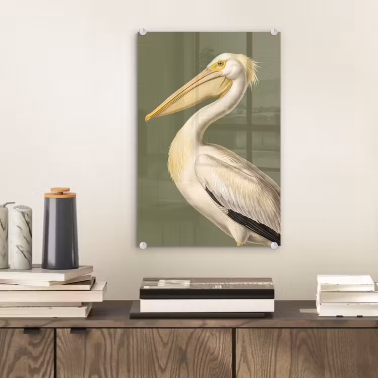 Glas schilderij - Pelikaan - Wit - Vogel - Klassiek - Natuur — 2
