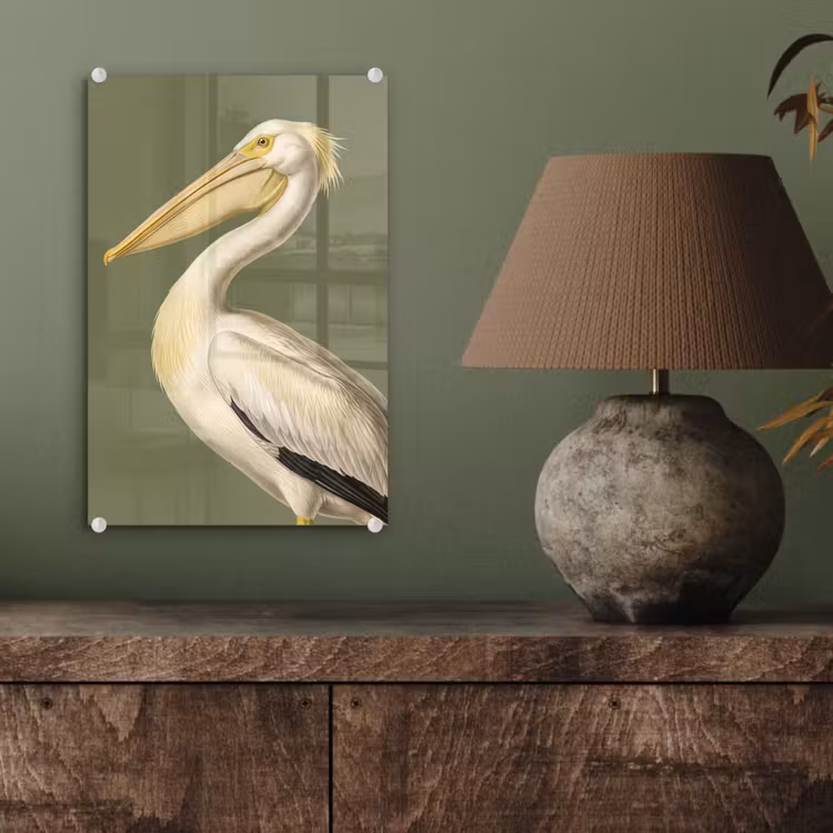 Glas schilderij - Pelikaan - Wit - Vogel - Klassiek - Natuur — 4
