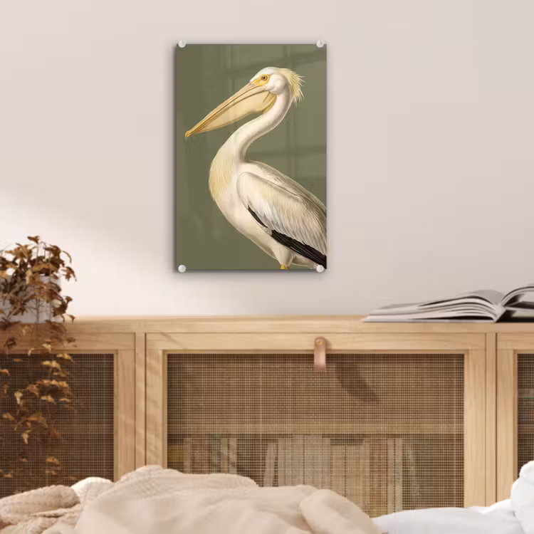 Glas schilderij - Pelikaan - Wit - Vogel - Klassiek - Natuur — 5