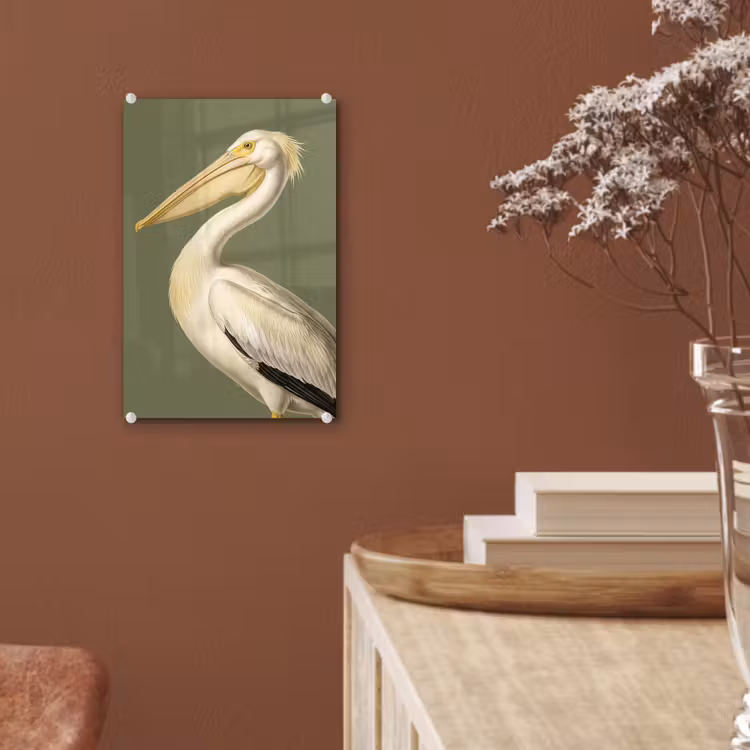 Glas schilderij - Pelikaan - Wit - Vogel - Klassiek - Natuur — 6