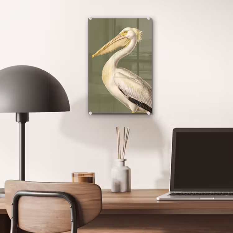 Glas schilderij - Pelikaan - Wit - Vogel - Klassiek - Natuur — 7