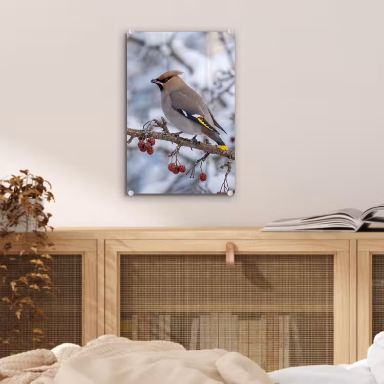Glas schilderij - Pestvogel - Bessen - Winter - Natuur — 5