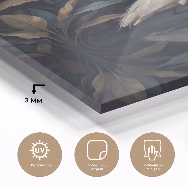 Glas schilderij - Reiger - Water - Natuur - Modern - Wit — 3