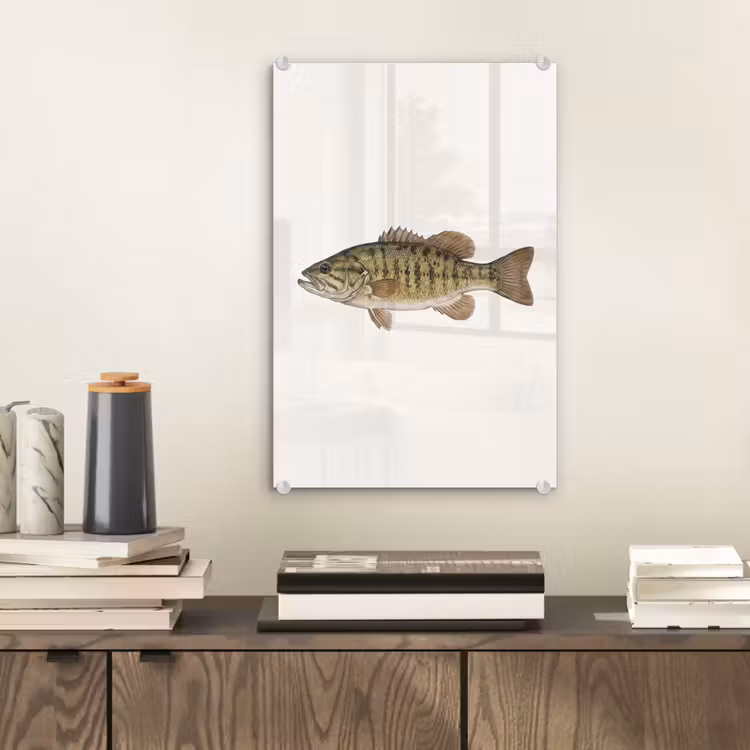 Glas schilderij - Vissen - Natuur - Vintage — 2