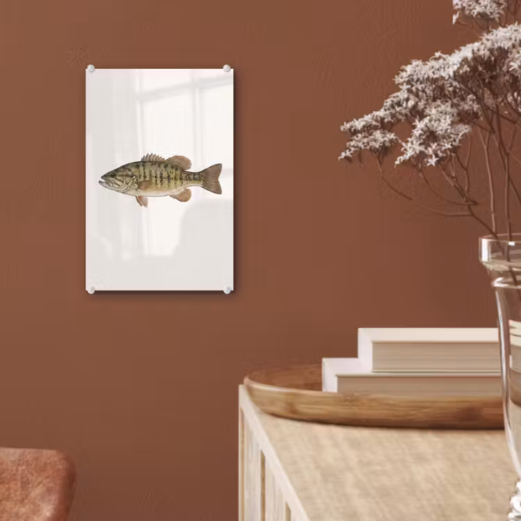 Glas schilderij - Vissen - Natuur - Vintage — 6