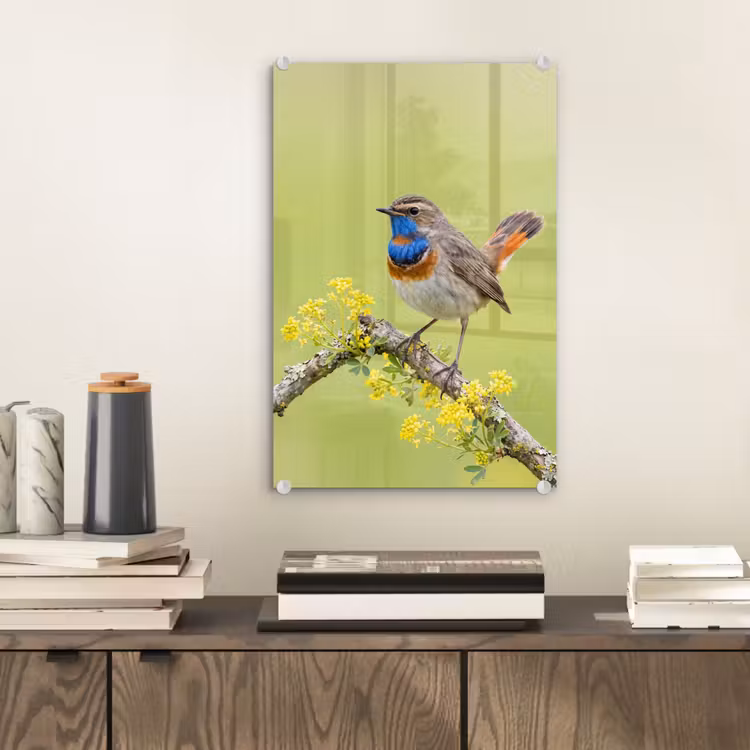 Glas schilderij - Vogel - Tak - Natuur - Kleurrijk — 2