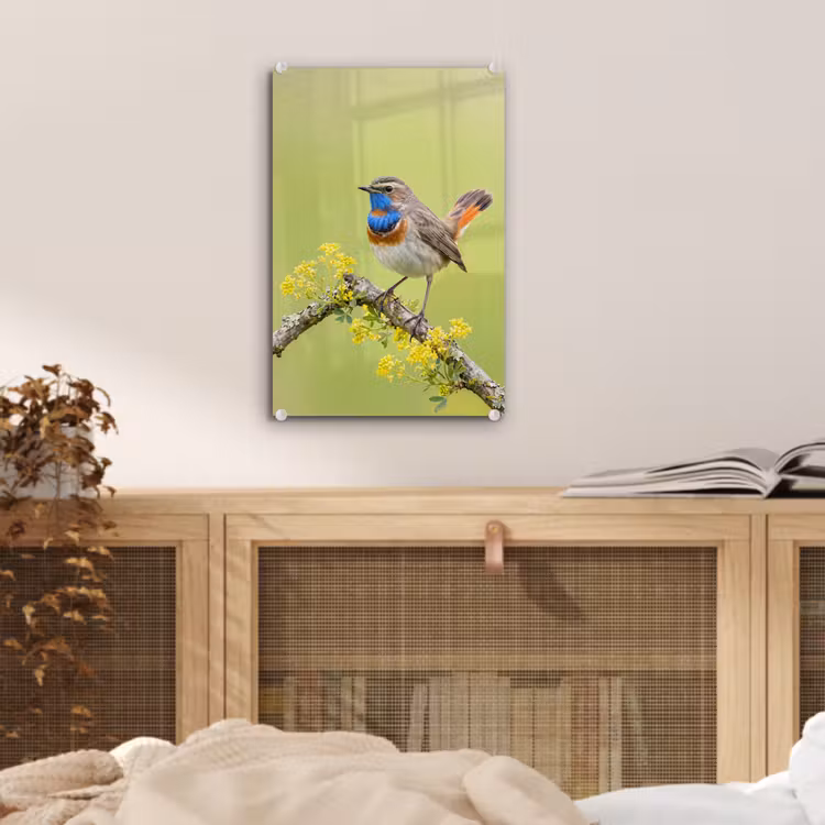 Glas schilderij - Vogel - Tak - Natuur - Kleurrijk — 5