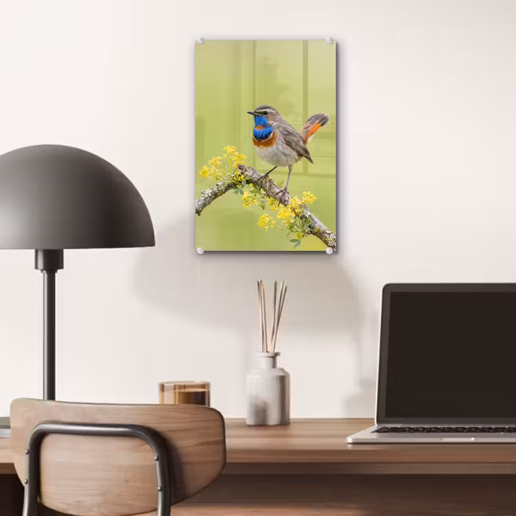 Glas schilderij - Vogel - Tak - Natuur - Kleurrijk — 7