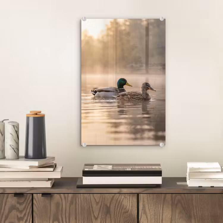Glas schilderij - Eenden - Water - Mist - Natuur — 2