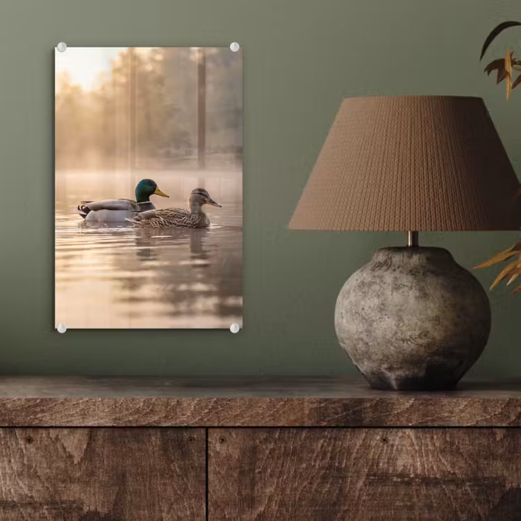 Glas schilderij - Eenden - Water - Mist - Natuur — 4