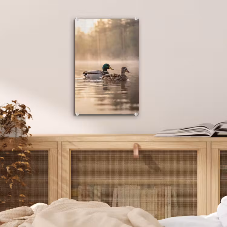Glas schilderij - Eenden - Water - Mist - Natuur — 5