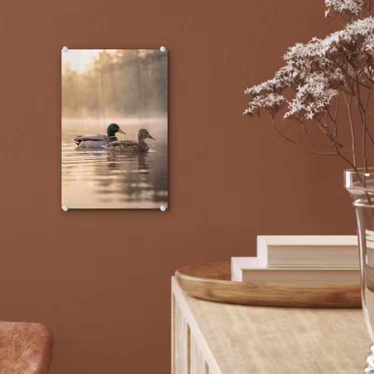 Glas schilderij - Eenden - Water - Mist - Natuur — 6