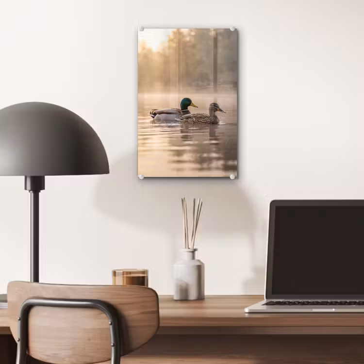 Glas schilderij - Eenden - Water - Mist - Natuur — 7